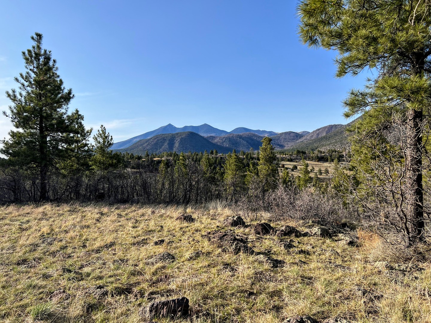 Views of the San Francisco Peaks.