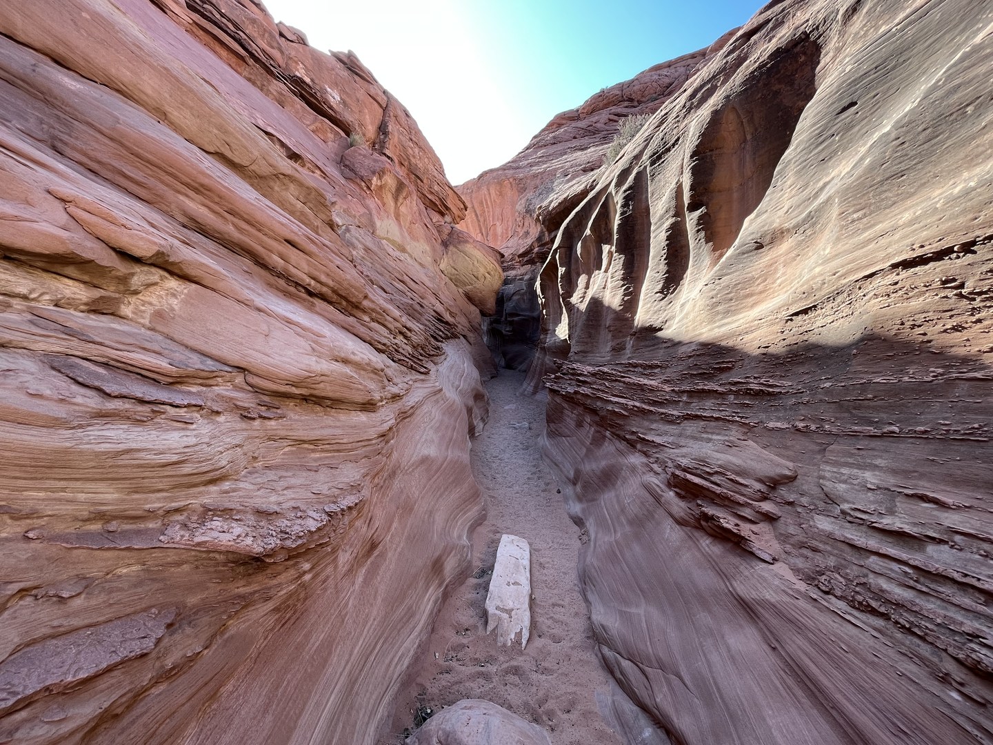 Entering Upper Dry Fork.