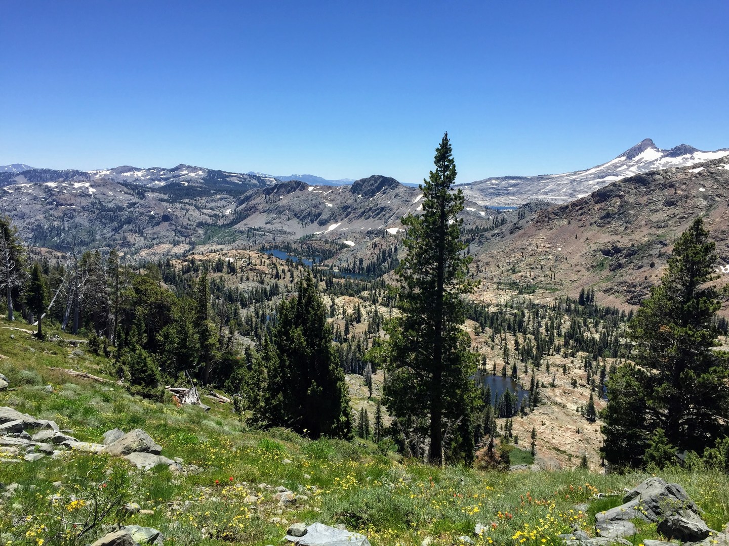 Climbing up to Dick's Pass and overlooking Half Moon Lake.