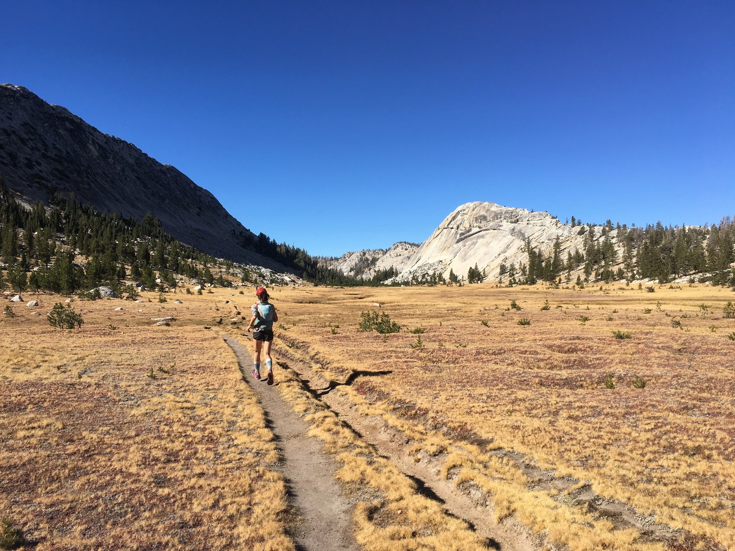 Tuolumne Meadows to Vogelsang Camp Outdoor Project