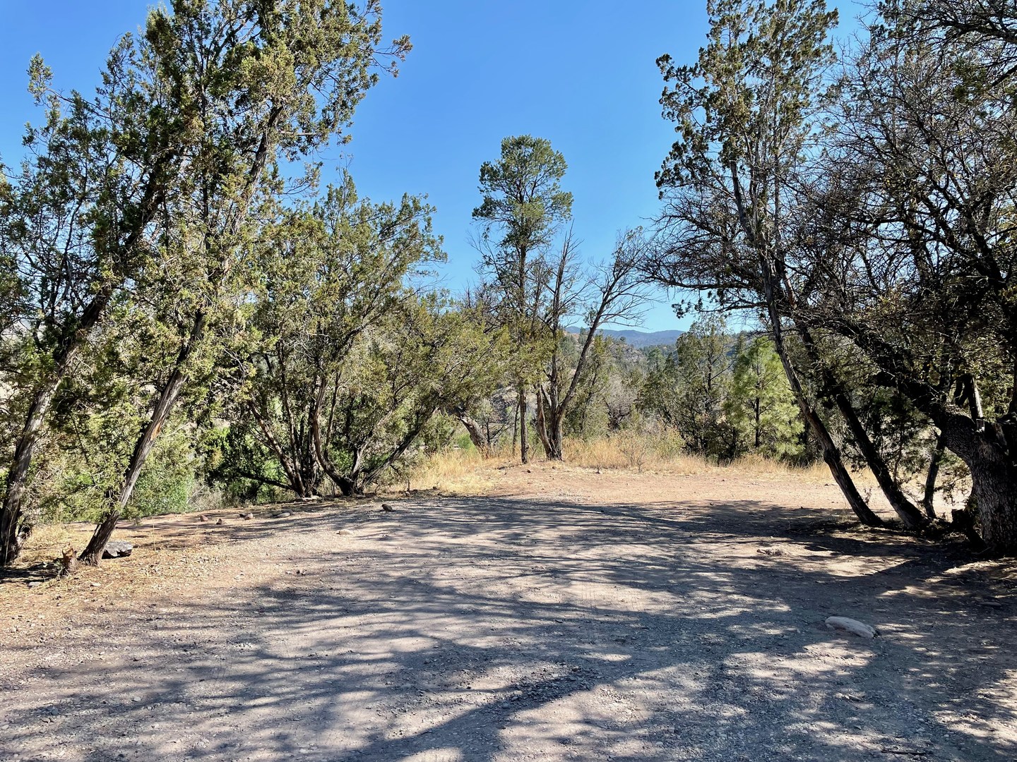 Forks Campground Outdoor Project
