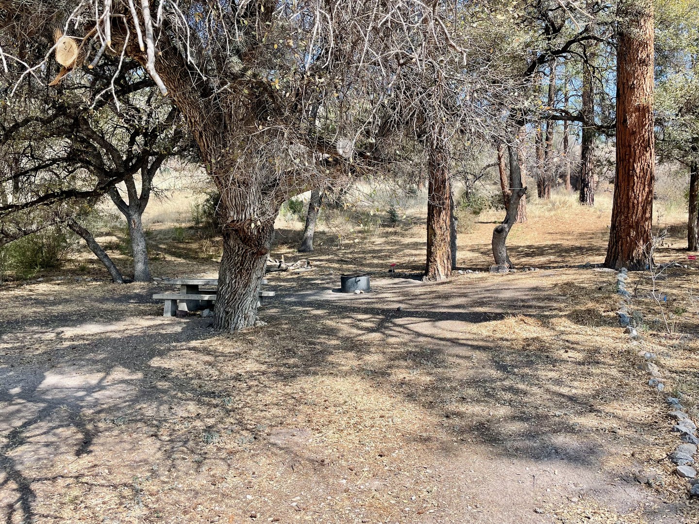 Lower Scorpion Campground.