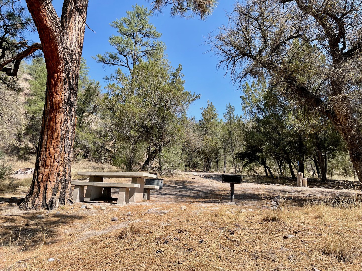 A typical campsite at Upper Scorpion Campground.