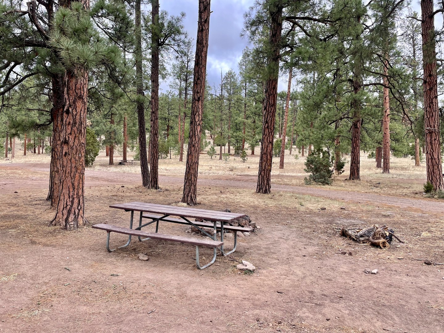 A typical campsite at Valle Tio Vinces Campground.