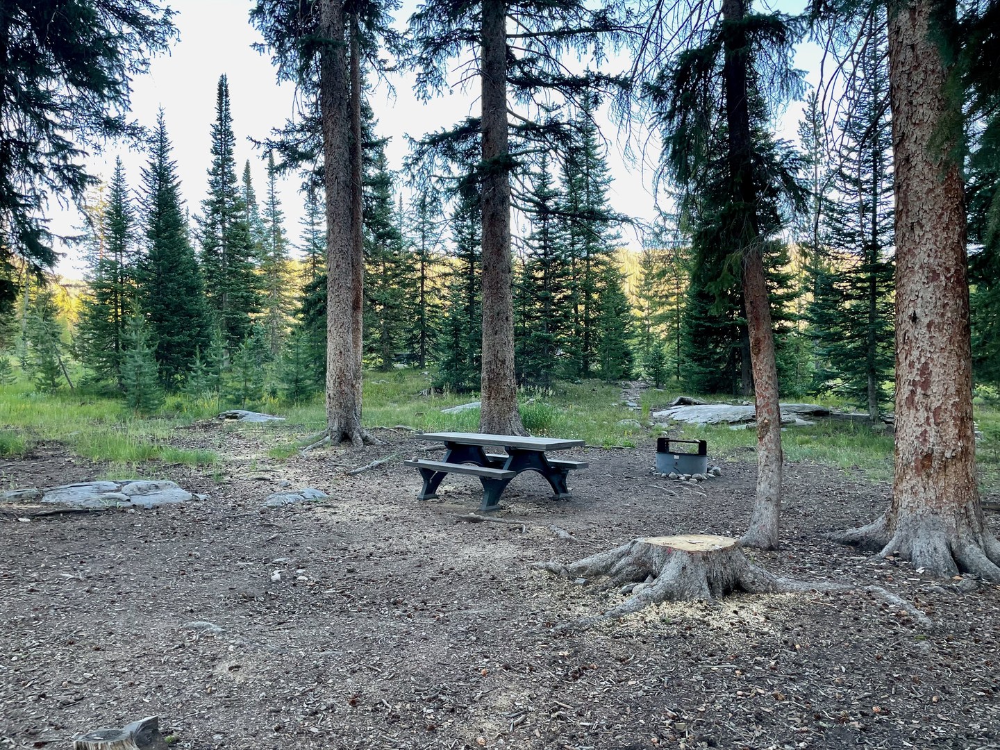 All campsites at Seedhouse have a picnic table and fire ring.