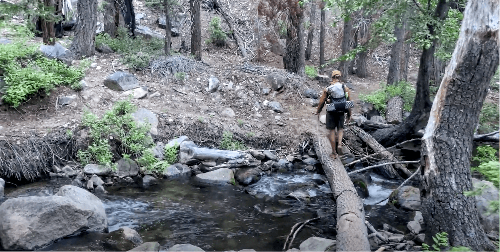 Ninemile Creek - just south of Jordan Hot Spring.