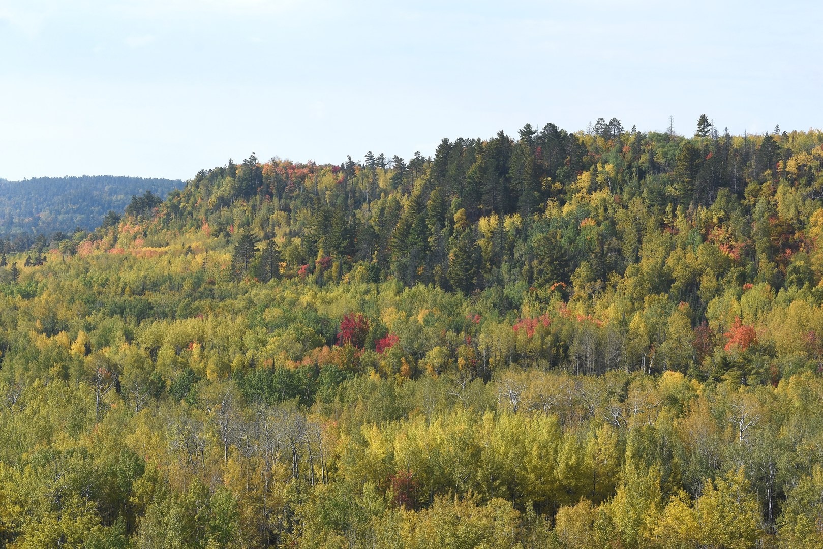 View from Wolf Rock.