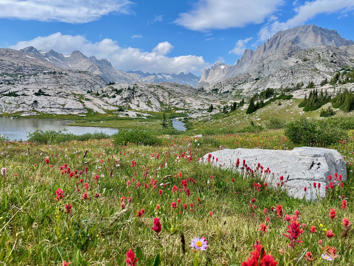 Wildflowers and a stunning view toward Titcomb Basin.