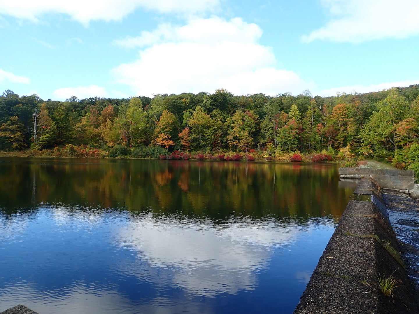 Aleck Meadow Reservoir.