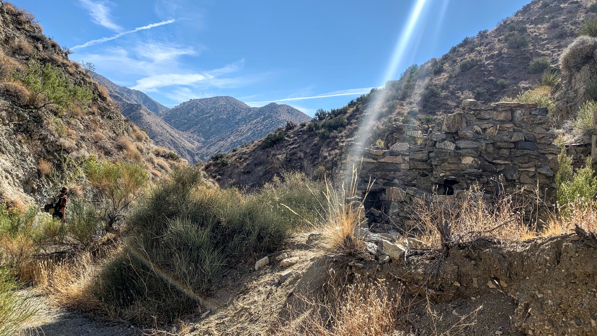 Chuckwalla Bill Site.