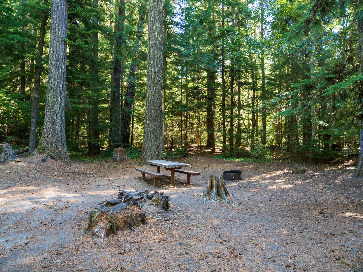 A typical campsite at Adams Fork Campground.