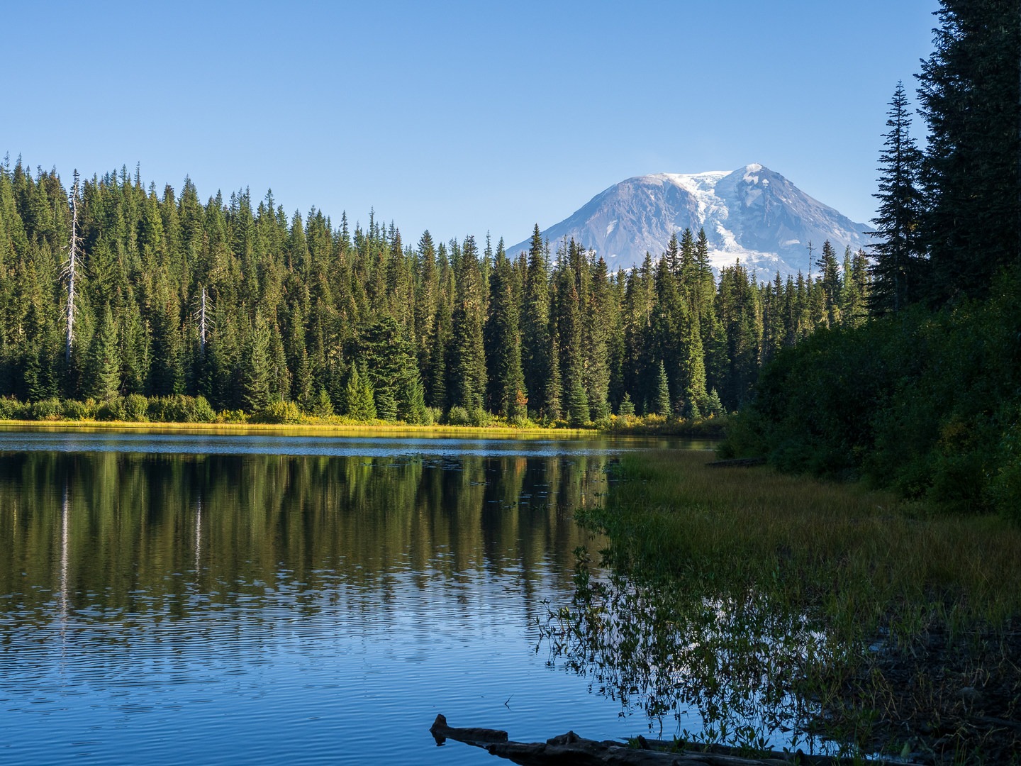 Stunning views of Mt Adams from Olallie Lake.