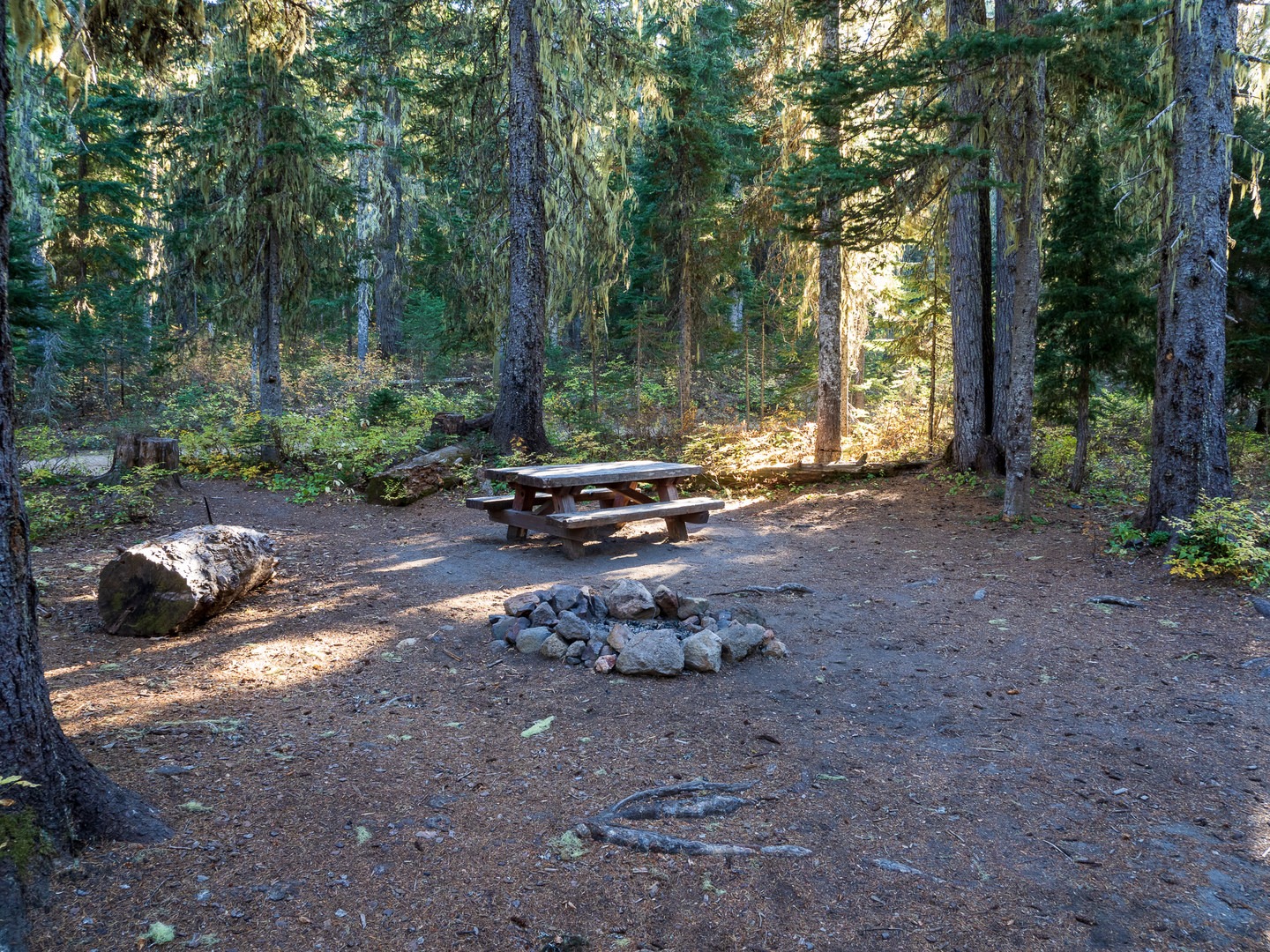 A typical campsite at Chain of Lakes Campground.