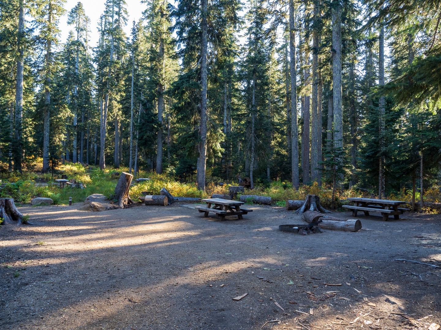 A typical campsite at Takhlakh Lake Campground.