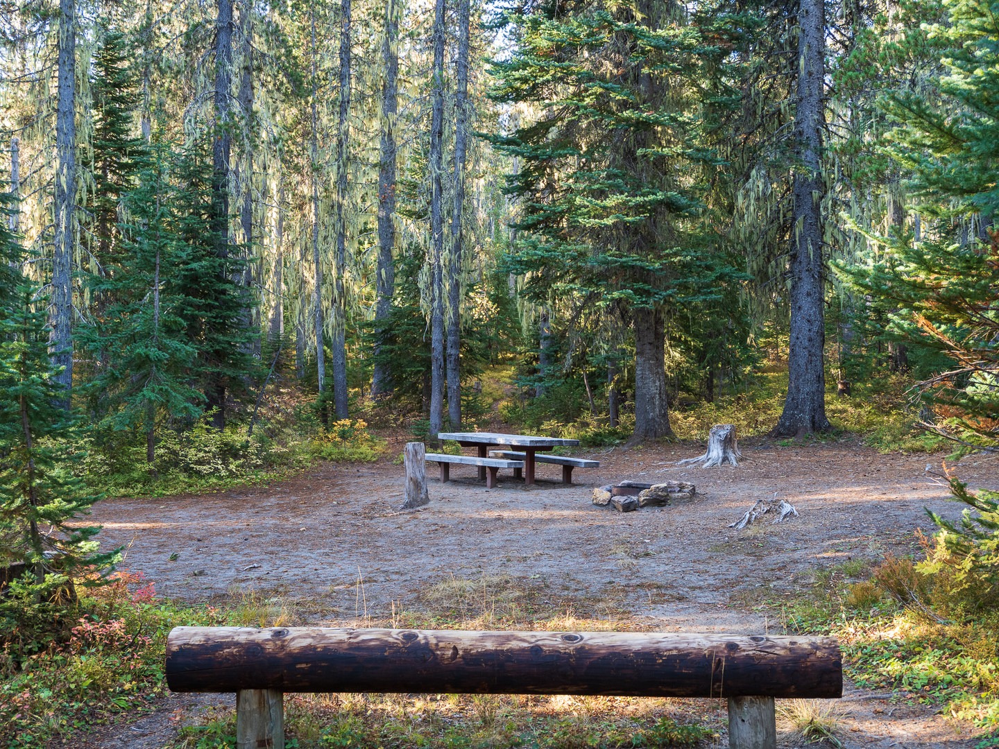 A typical campsite at Killen Creek Campground.