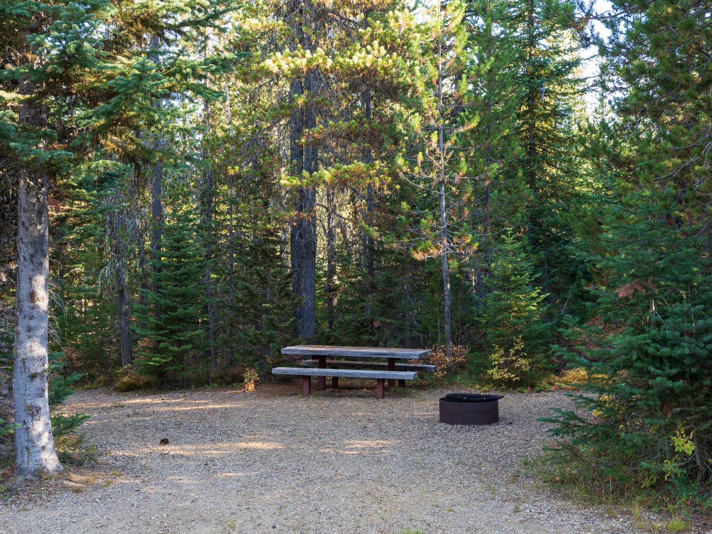A typical campsite at Keenes Horse Camp.