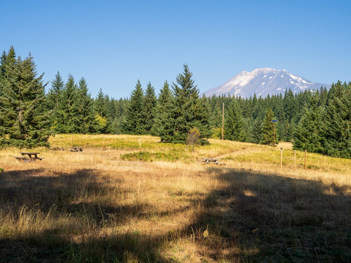Views across the campground to Mt Adams.