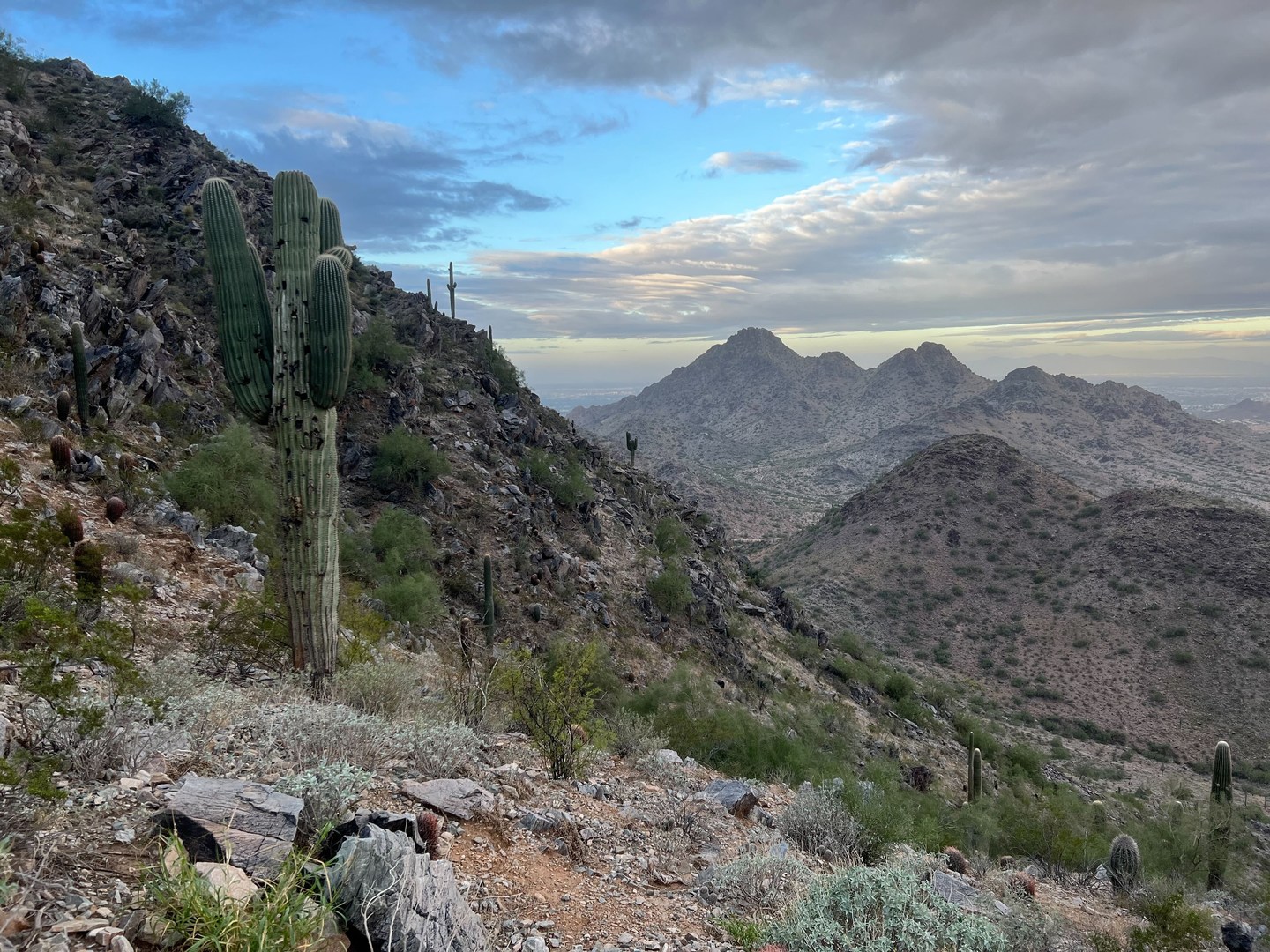 Gorgeous desert landscapes.