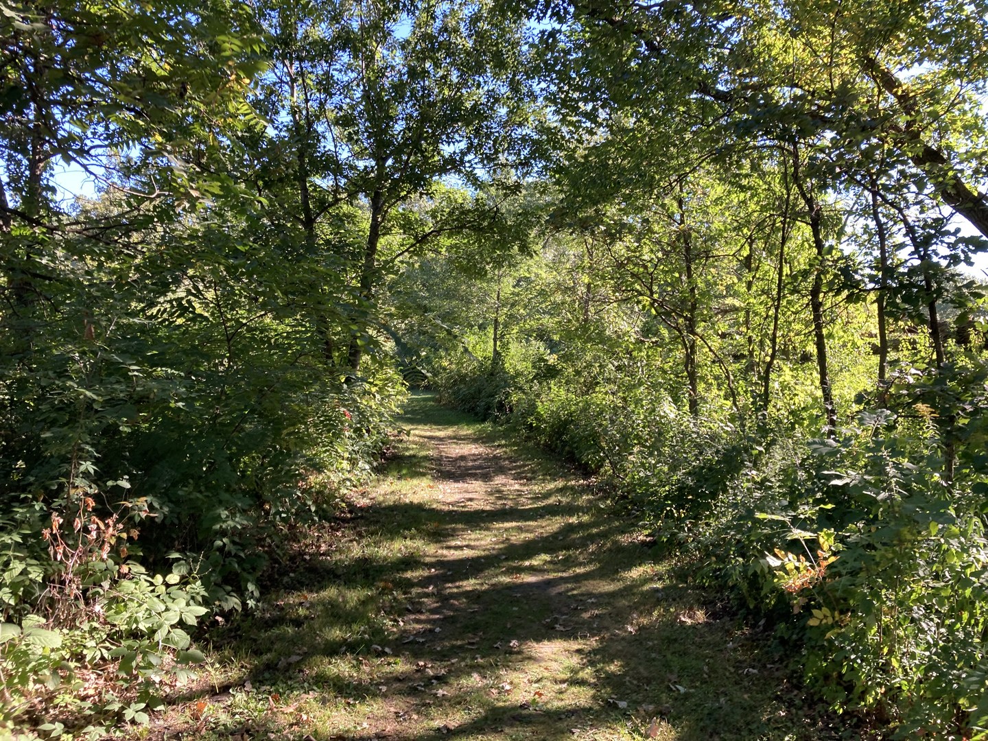 Hiking Club Trail at Minneopa State Park.