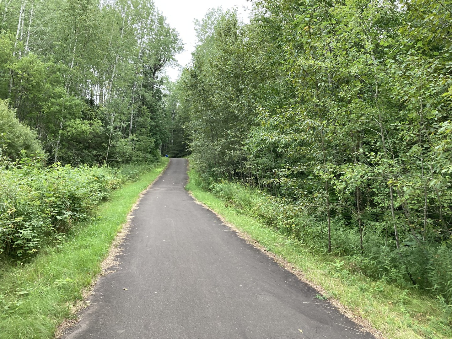 Forbay Trail in Jay Cooke State Park.