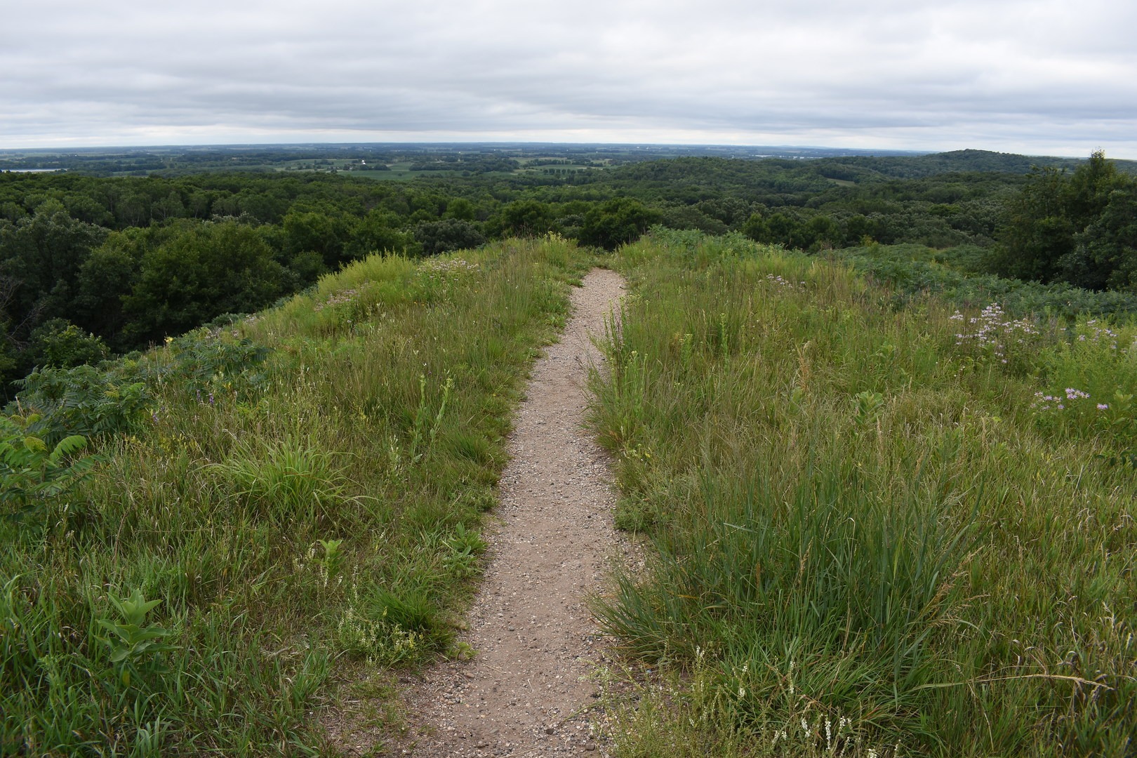 View from the top of Inspiration Peak.