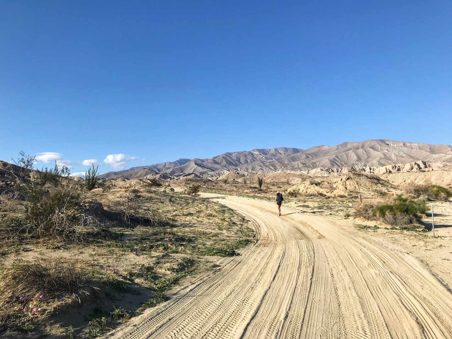 Ocotillo Wells Vehicular State Recreation Area - Truckhaven Training Area.