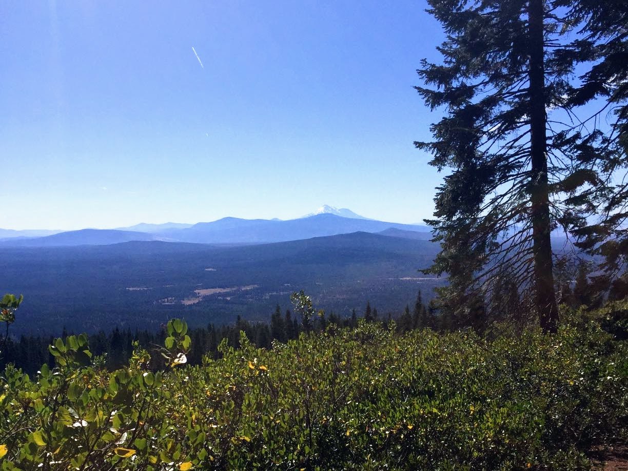 National Forest south of the shelter.