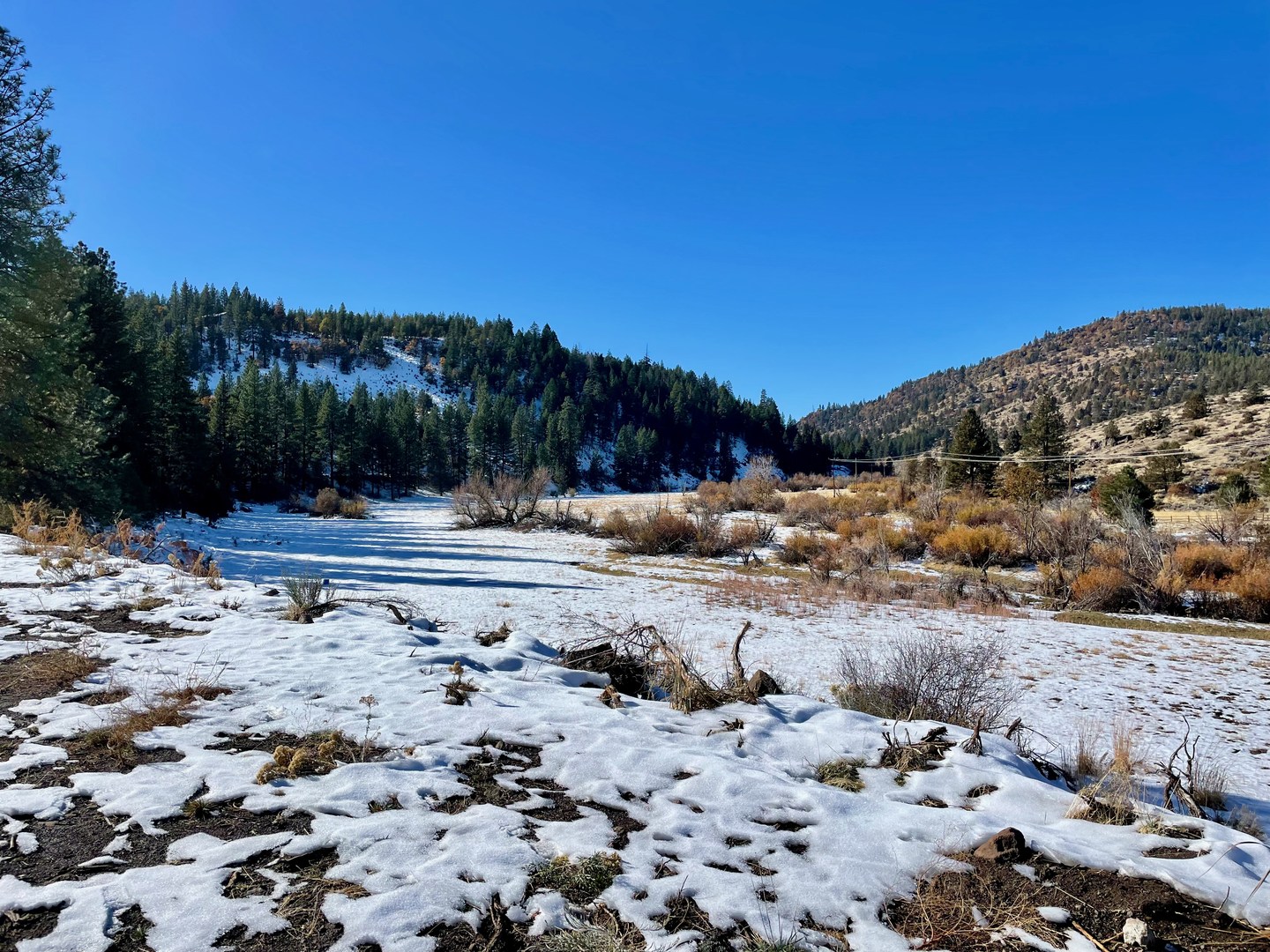 Views out across the Piute Creek valley.