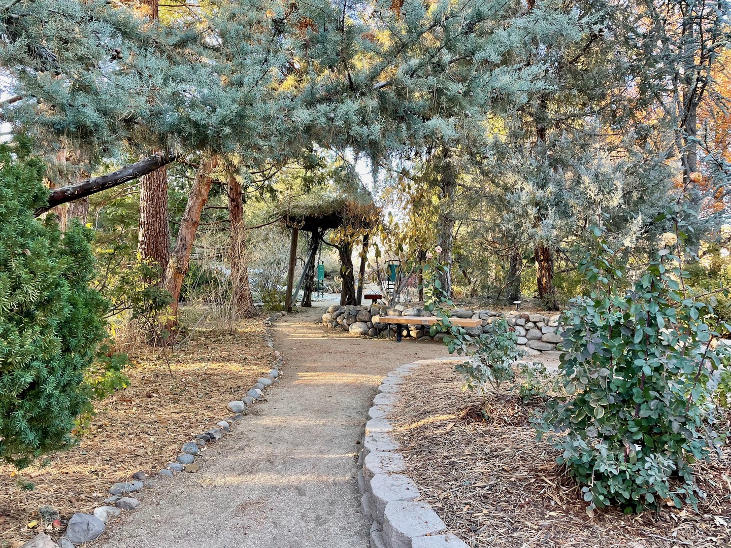 More trails within the arboretum.