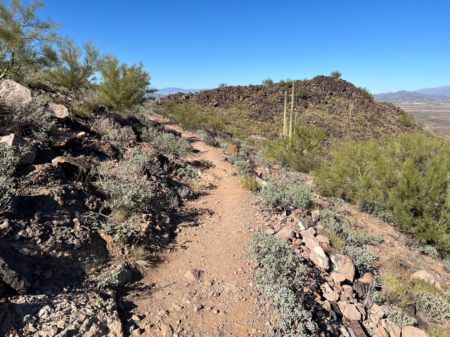 View looking towards the summit.