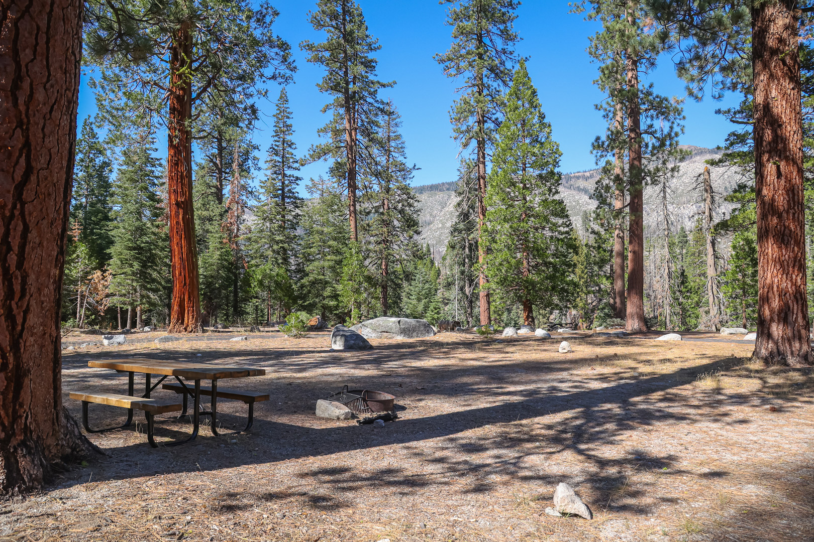 Many sites get shade from the trees.