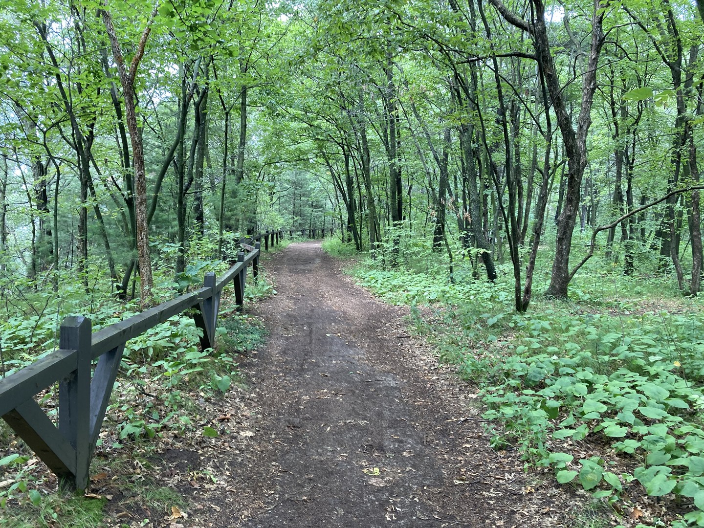 Lake Trail at Lake Wissota State Park.