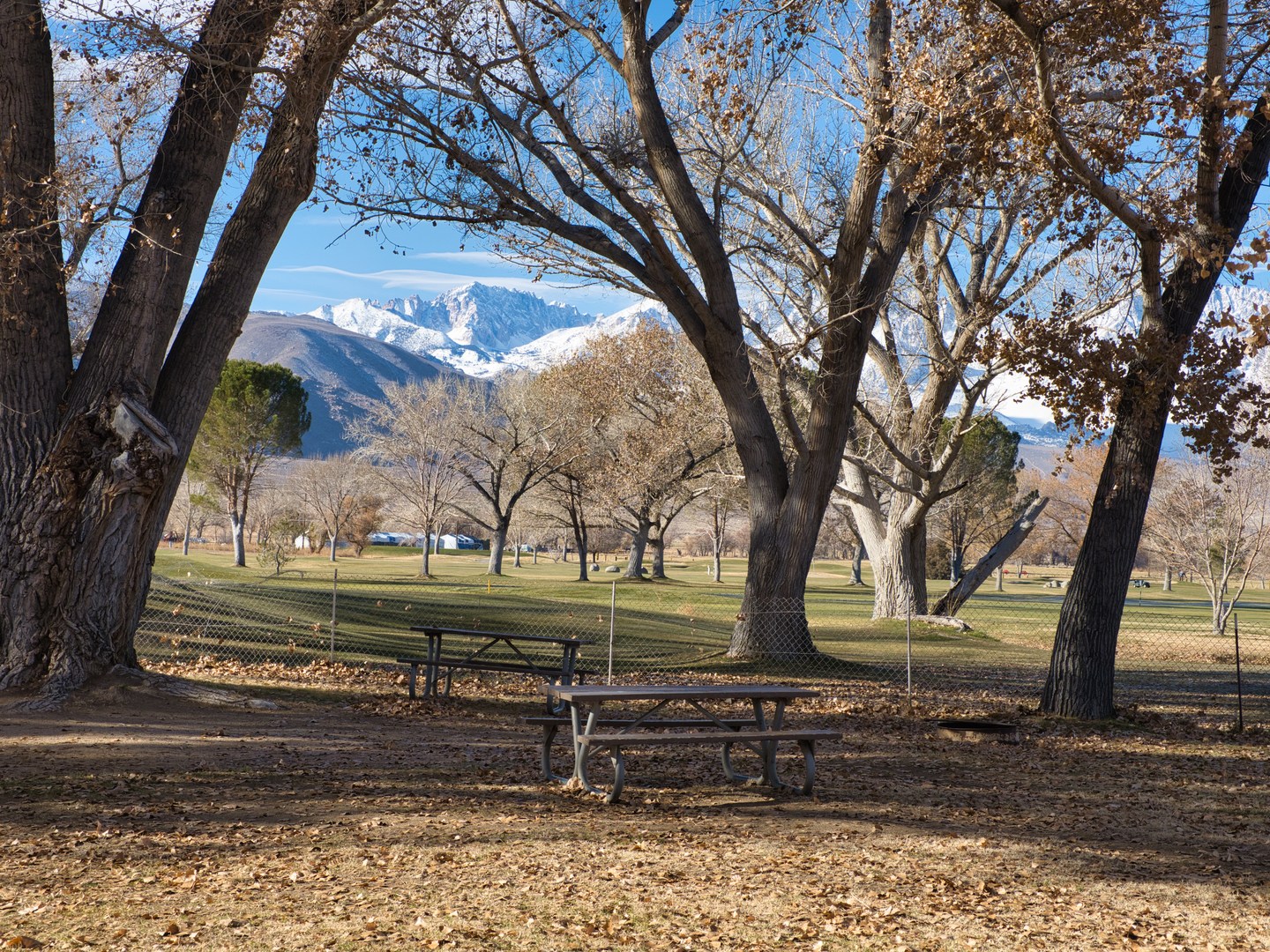 Many campsites butt up against the golf course and also offer views of the Sierra Nevada mountains.