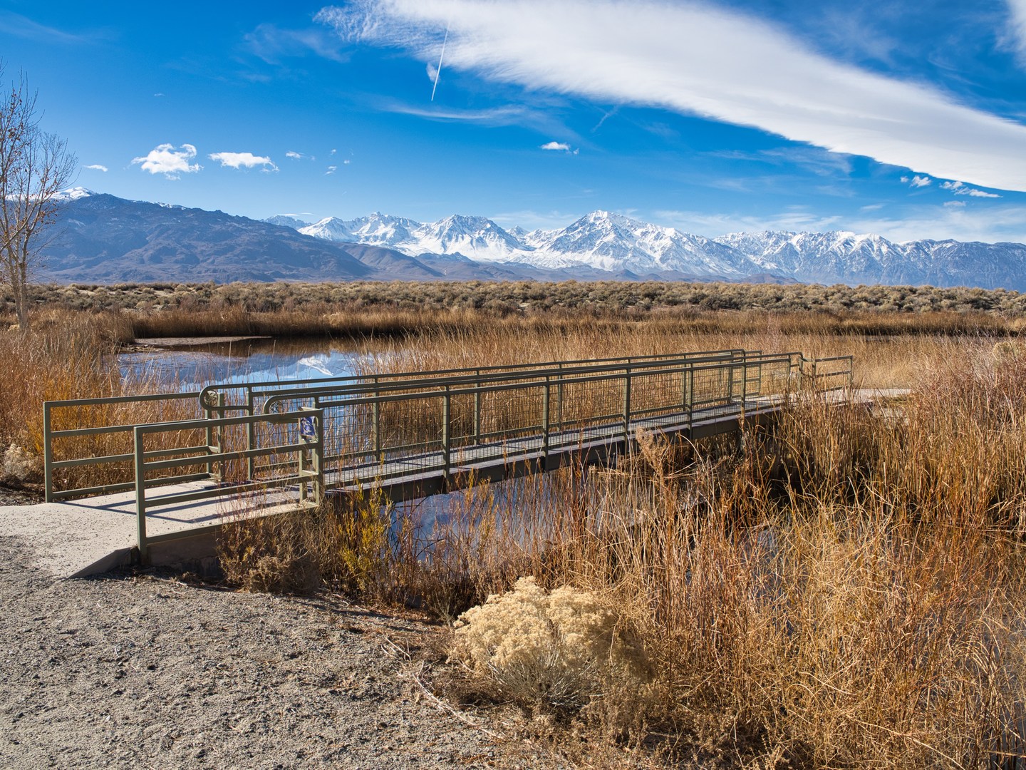 Footbridge to one of the ponds.