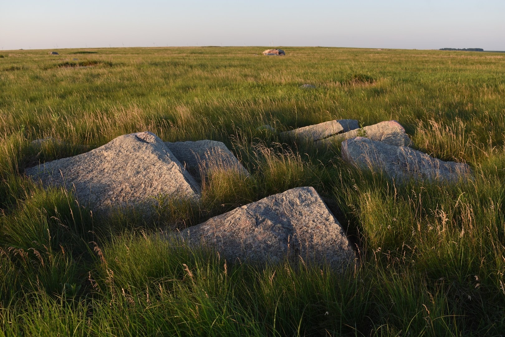 Sioux quartzite at Touch The Sky Prairie.