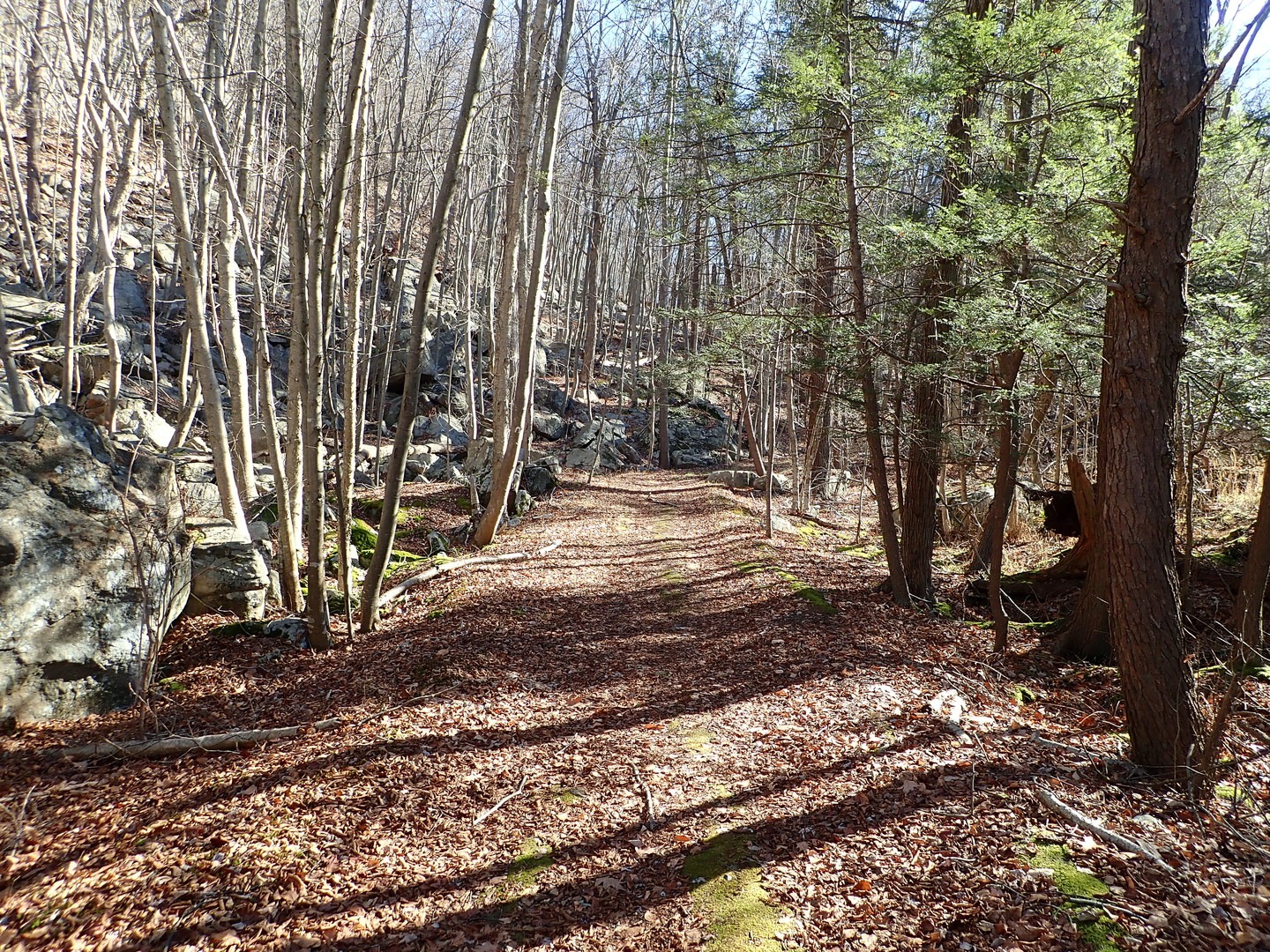 Trail is easy circling around Dater Mountain.