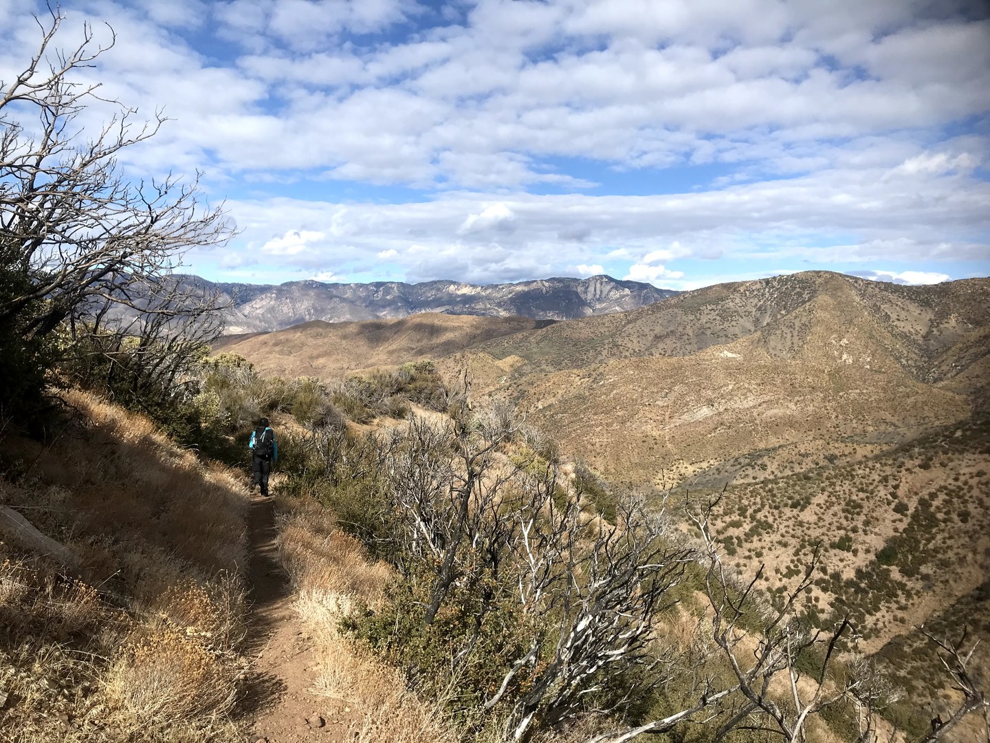 Lion Canyon Trail.