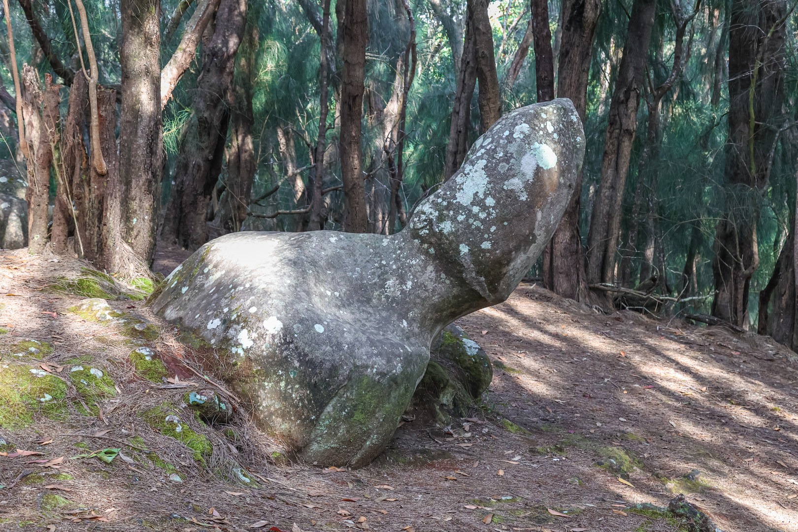 The Penis of Nanahoa.