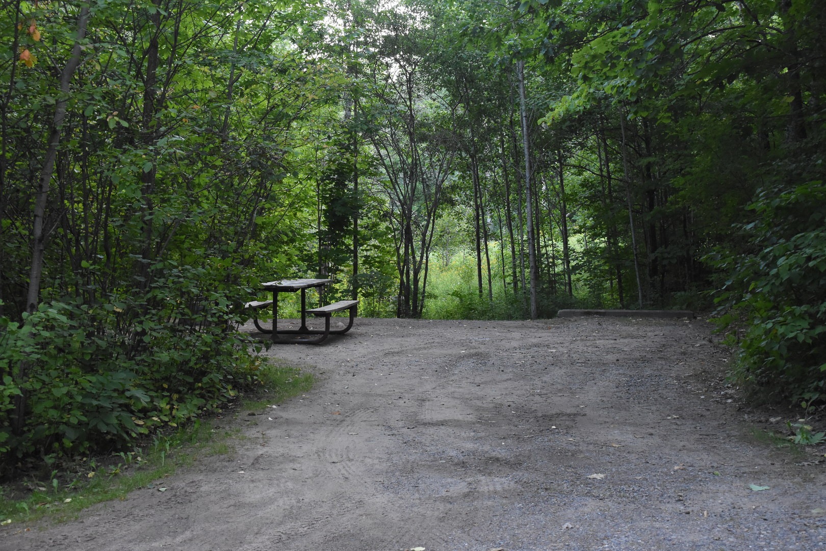 Site at Savanna Portage State Park Campground.