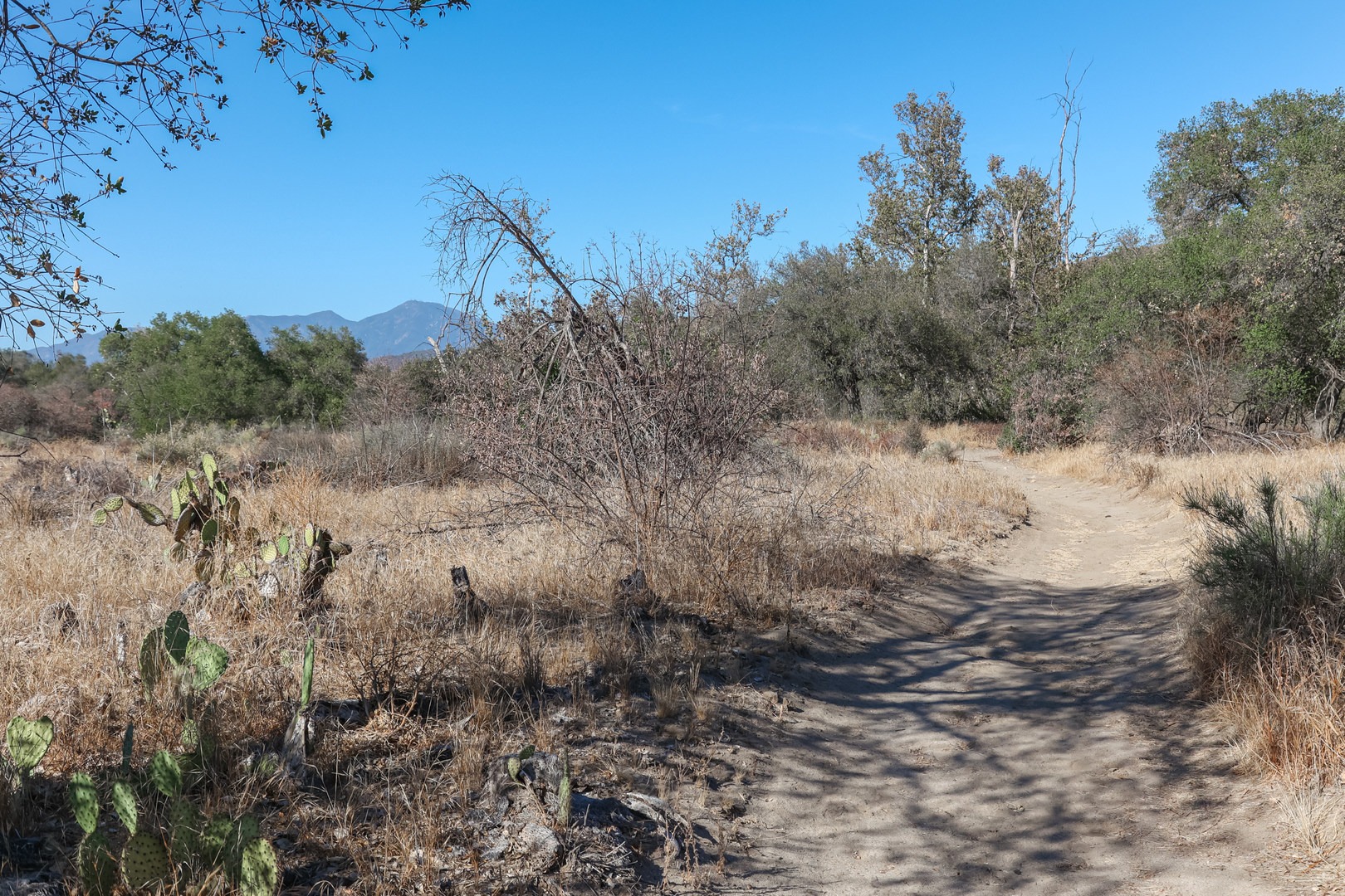 The course passes through arid chaparral in a dry wash basin.