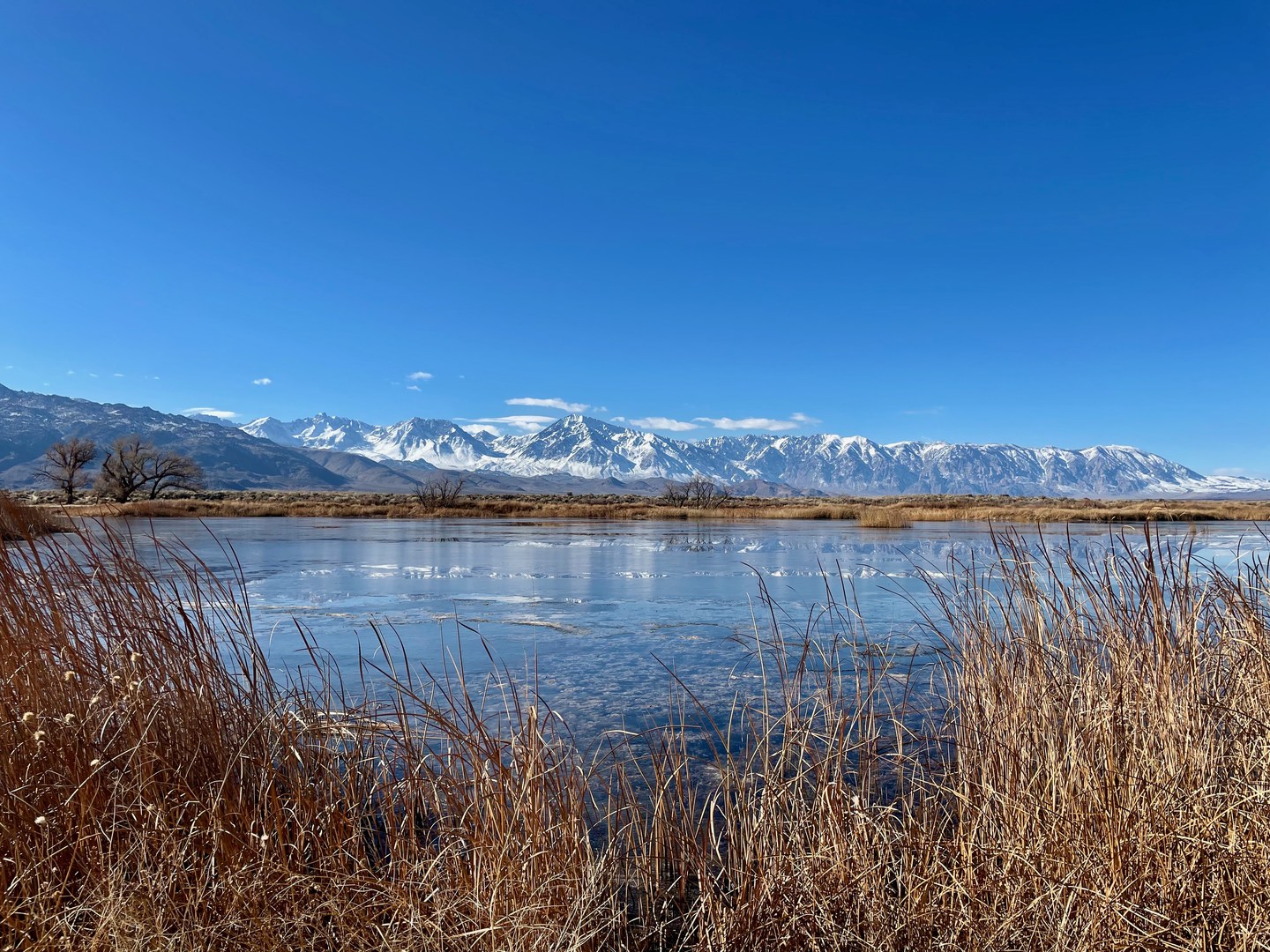 Buckley Ponds and the Sierra Nevada Mountains.