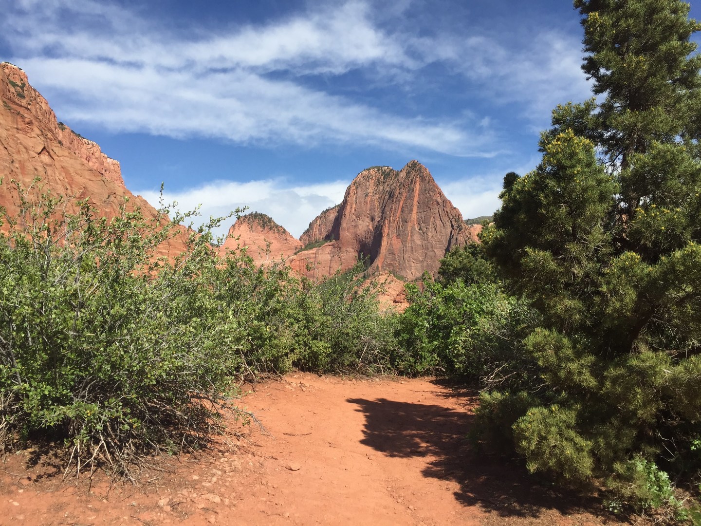 La Verkin Trail - at the start.