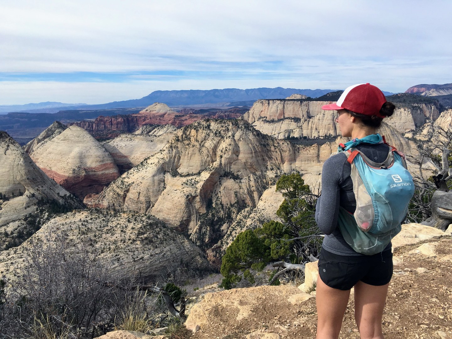 South of Horse Plateau Pasture.