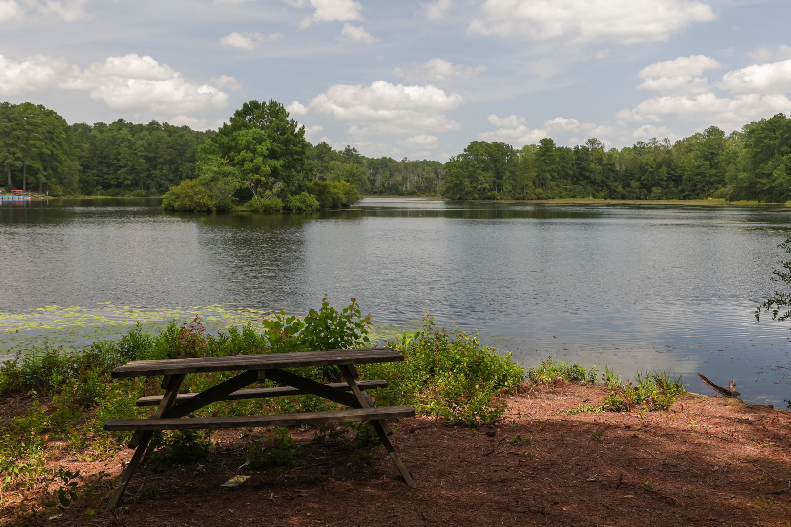 Benches with views over Sesquicentennial Lake.