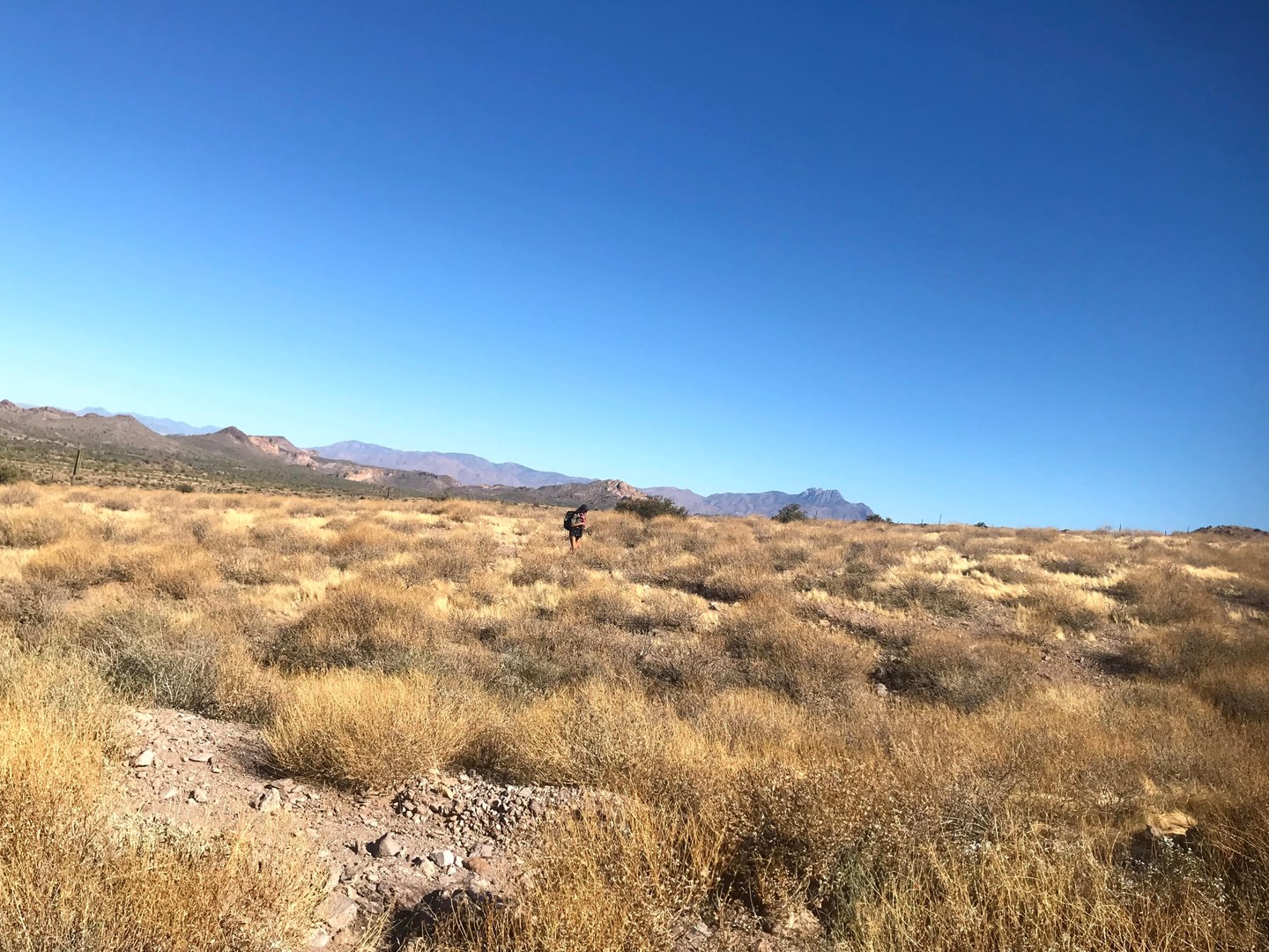 Jacob's Crosscut Trail #58.