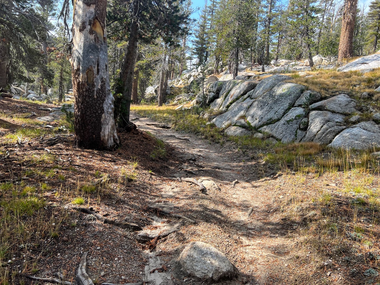 Rafferty Creek Trail.
