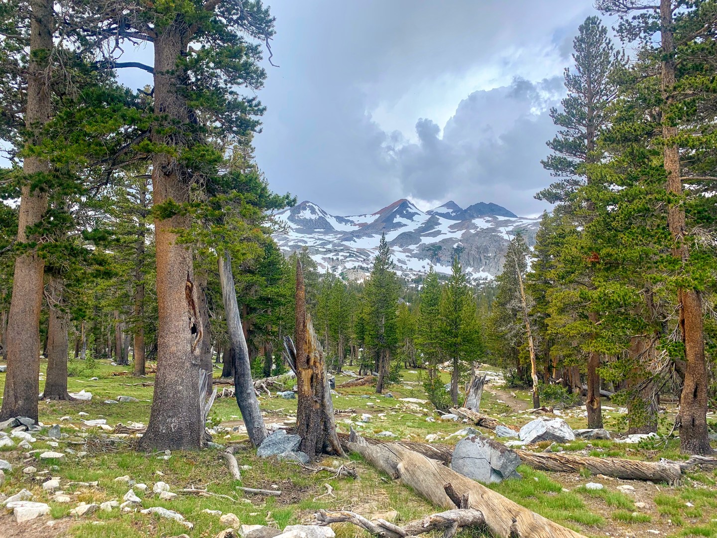 South side of Donohue Pass.