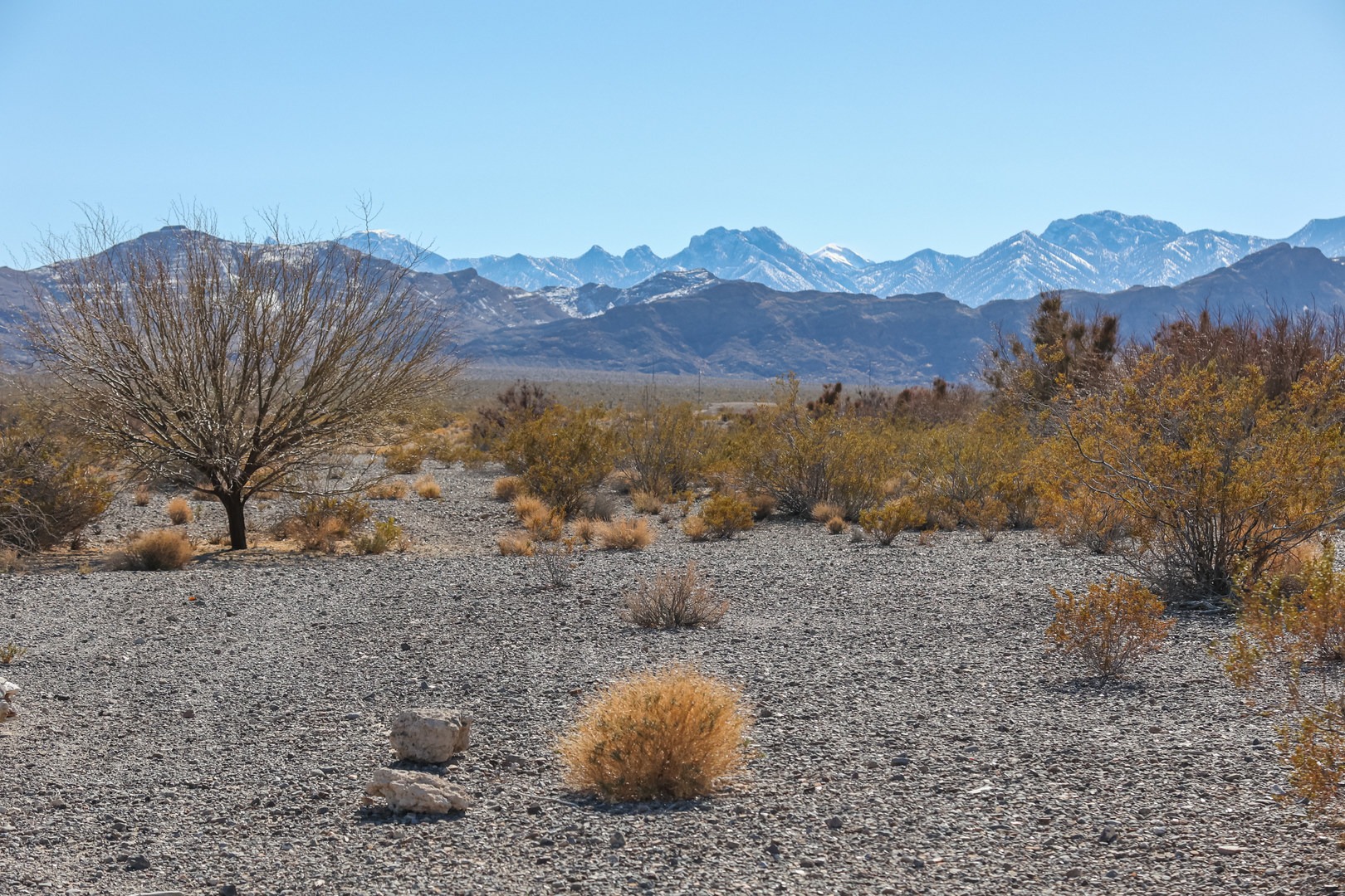 While there is not much along the trail, it does open to views of the surrounding mountains.