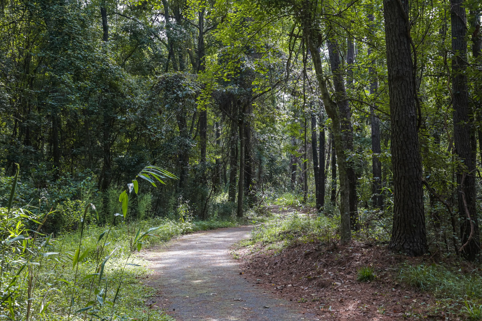 The easy route is accessible by all ability levels.