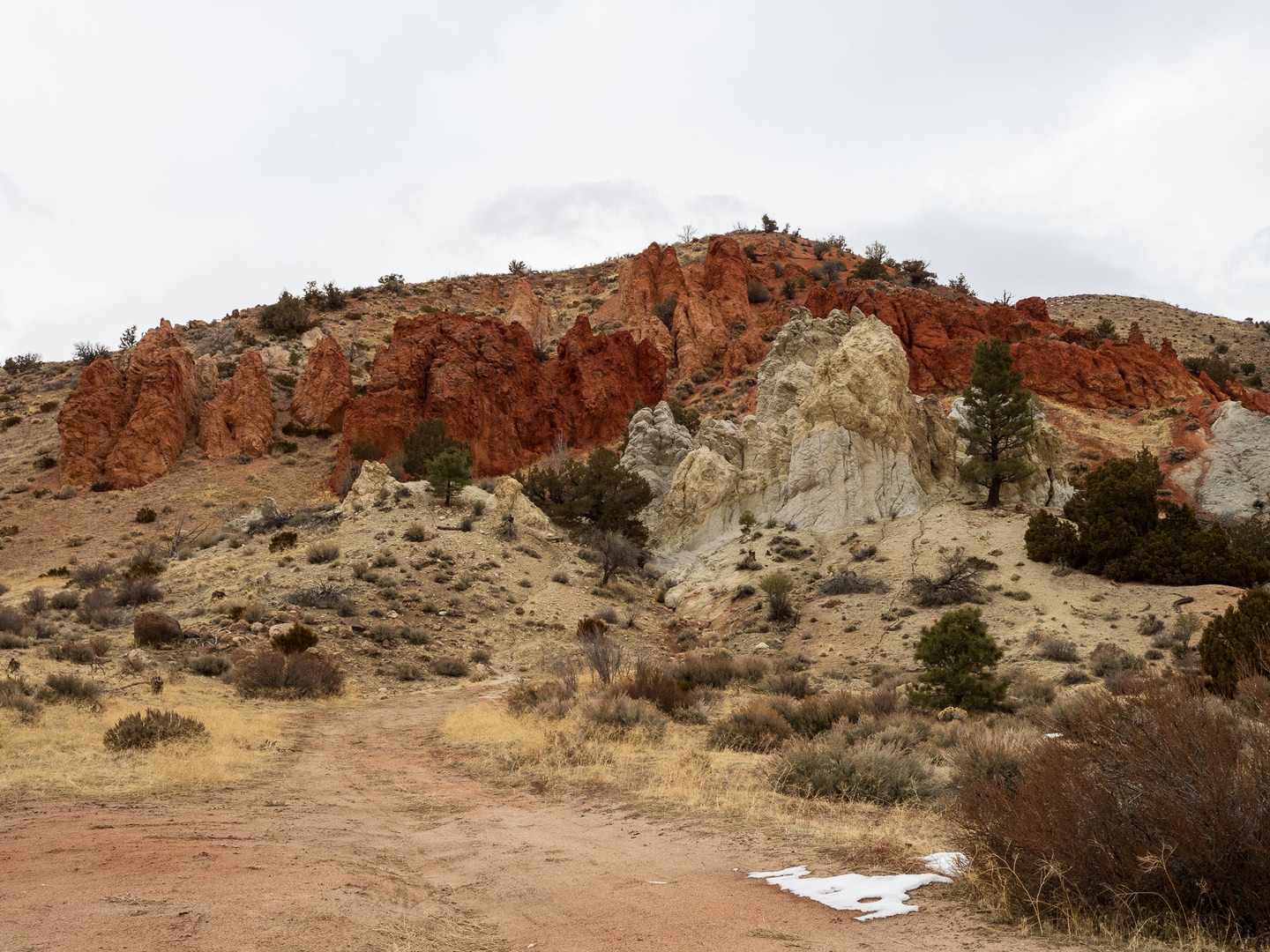 The red rock formations.
